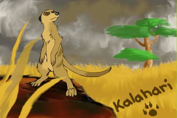 Kalahari