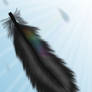 Feather