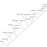 Stock Theropods Cladogram