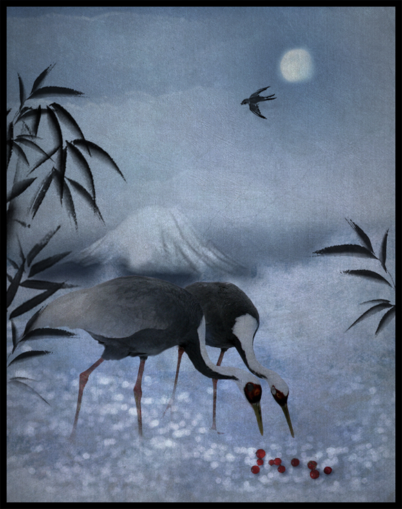 Cranes and Berries