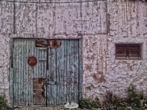 Cat and door