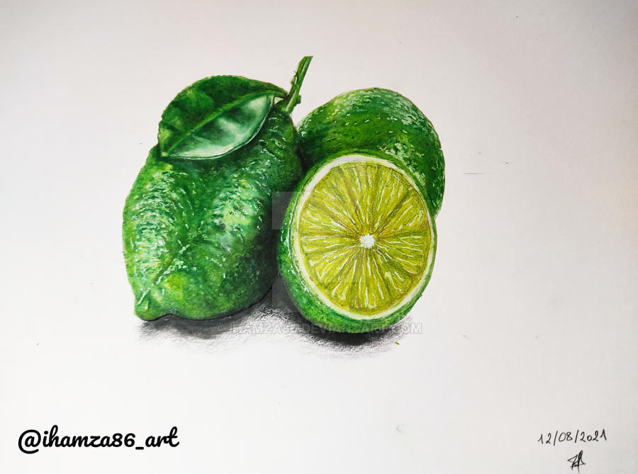 Realistic lemon lime drawing by ihamza86 on DeviantArt