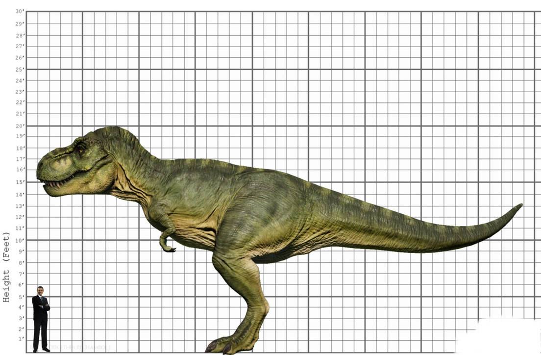 T Rex Size Comparison T Rex Size Comparison