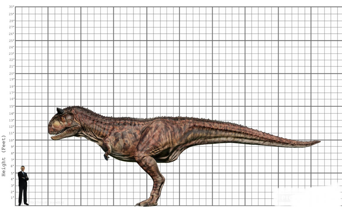 My Carnotaurus size comparison by EthanThomas2022 on DeviantArt