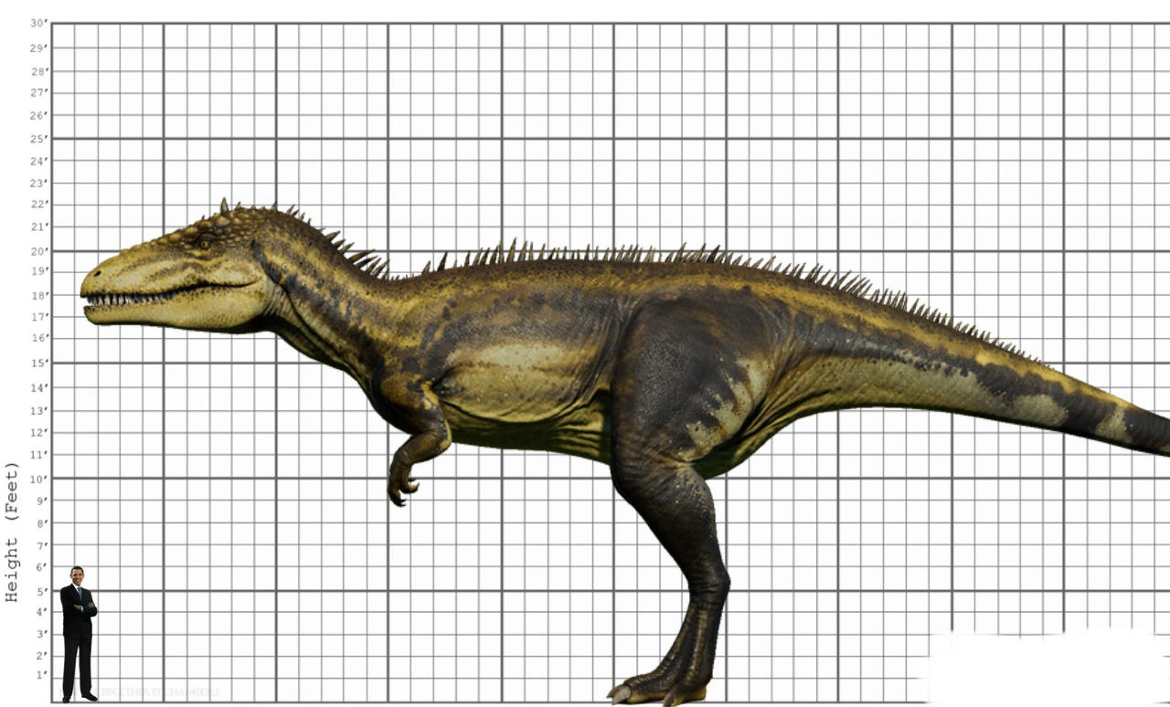 My Carcharodontosaurus Size Comparison By EthanThomas2022 On DeviantArt my-carcharodontosaurus-size-comparison-by-ethanthomas2022-on-deviantart