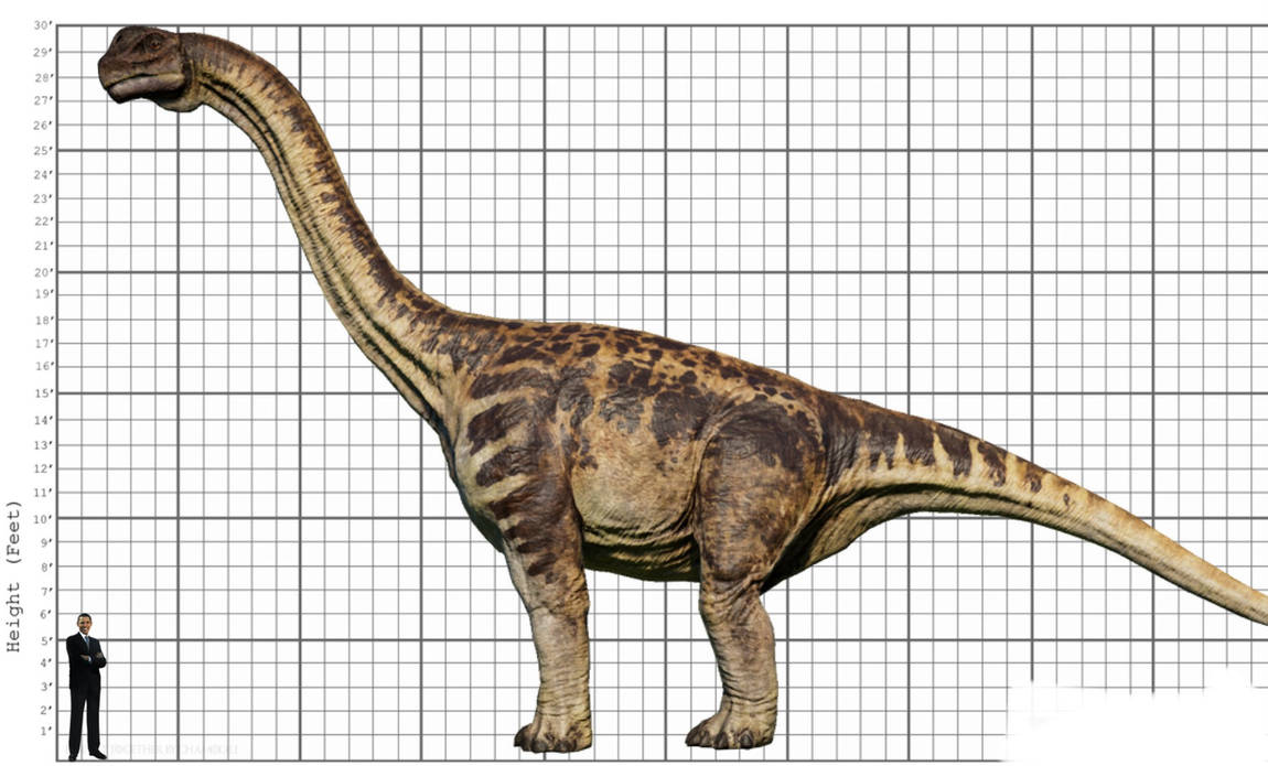My Camarasaurus Size Comparison By EthanThomas2022 On DeviantArt my-camarasaurus-size-comparison-by-ethanthomas2022-on-deviantart