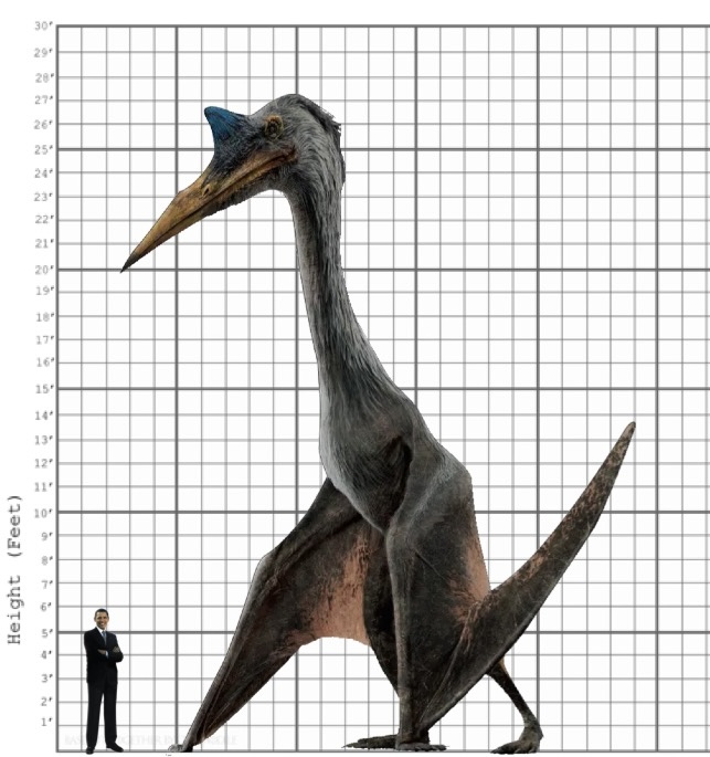 My Quetzalcoatlus Size Comparison By EthanThomas2022 On DeviantArt my-quetzalcoatlus-size-comparison-by-ethanthomas2022-on-deviantart