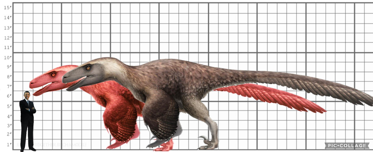 All Raptor Size Comparison My Utahraptor size comparison by EthanThomas2022 on DeviantArt