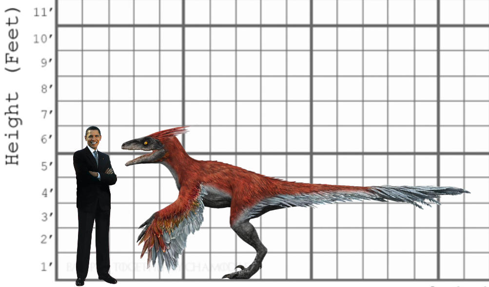 Pyro Raptor Size My Pyroraptor size comparison by EthanThomas2022 on DeviantArt