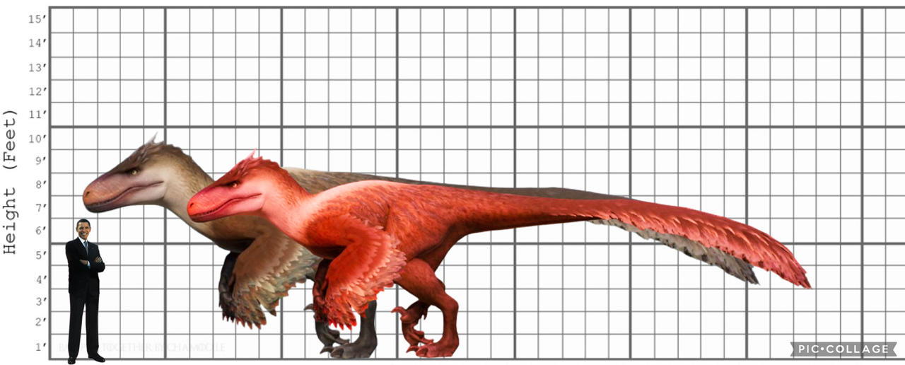 All Raptor Size Comparison Utahraptor Size Comparison Aprilia Tuono 660 Vs Indian Scout Rogue