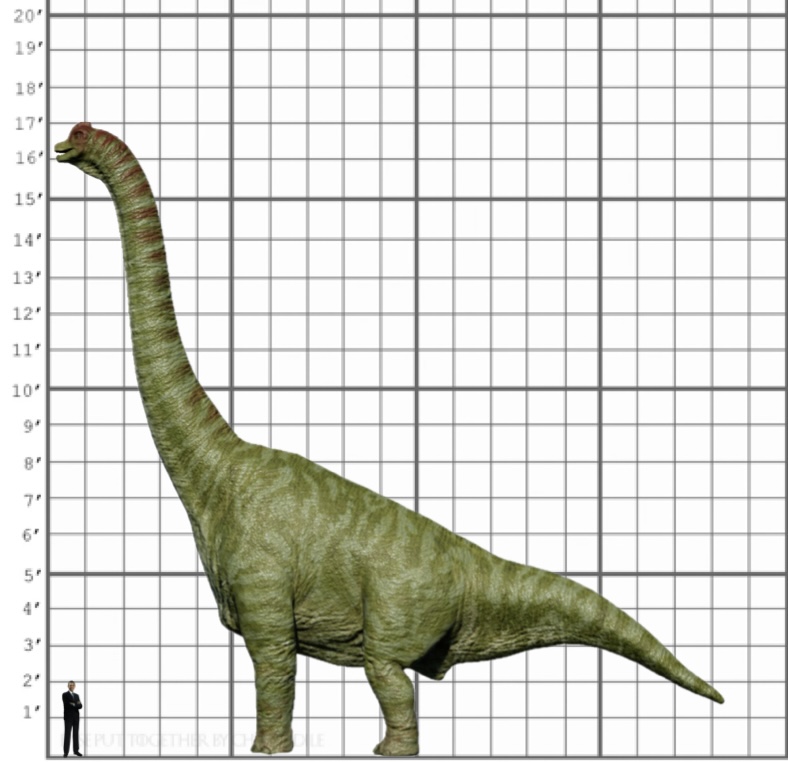 My Brachiosaurus Size Comparison Remake By EthanThomas2022 On DeviantArt my-brachiosaurus-size-comparison-remake-by-ethanthomas2022-on-deviantart