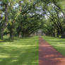 Oak Alley Plantation