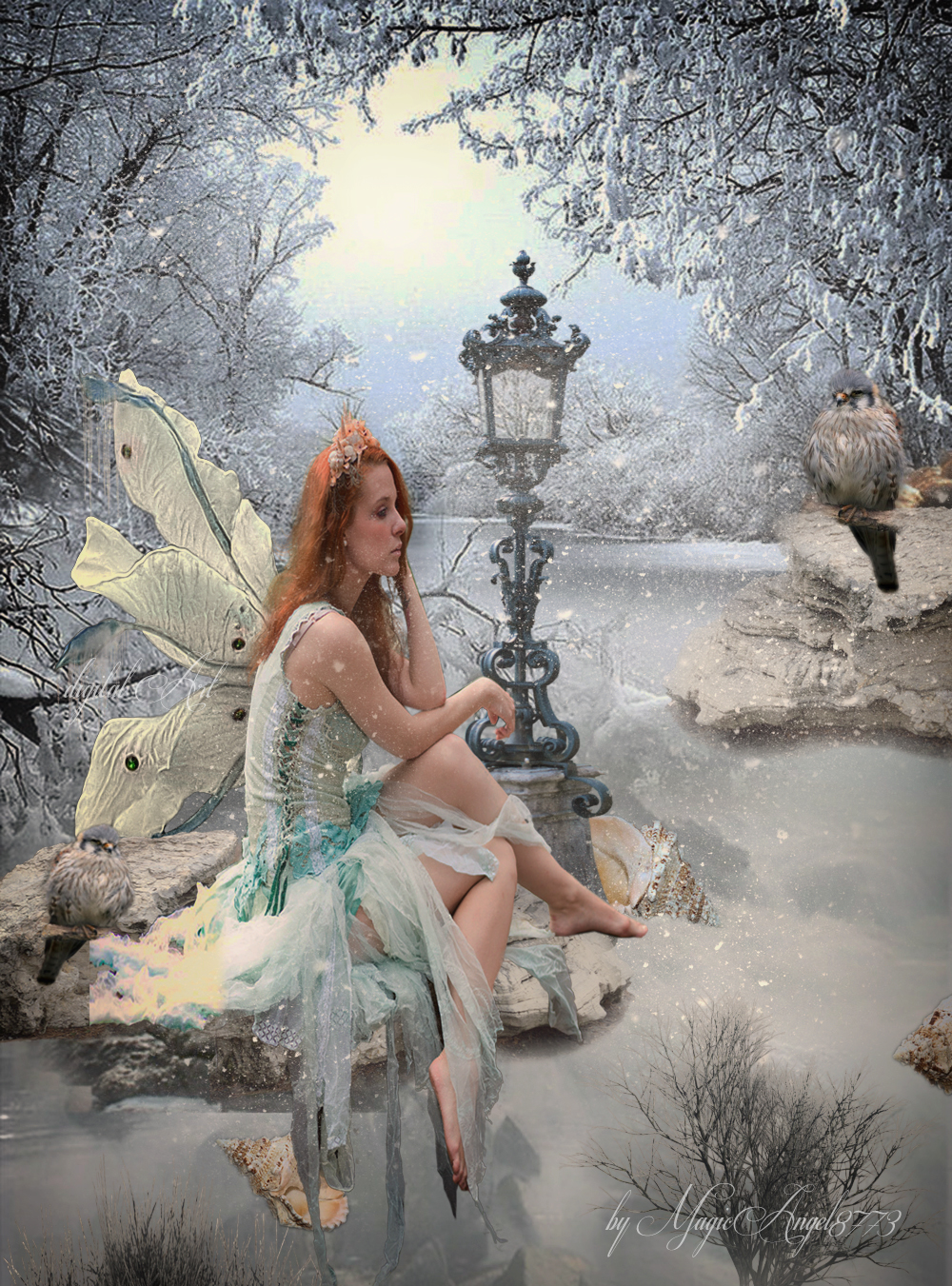 Winter Fairy Dream