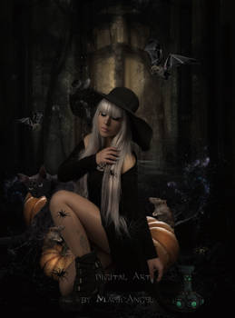 Halloween Witch