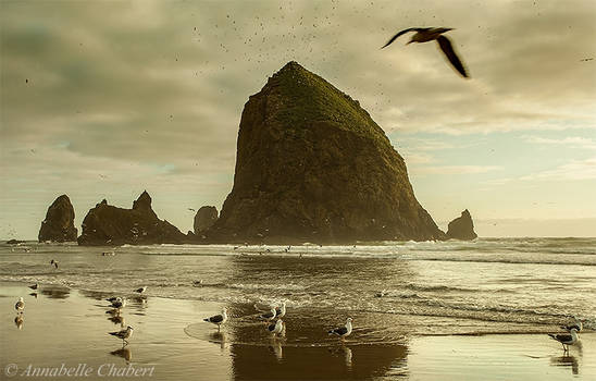 Haystack Rock