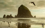 Haystack Rock by Annabelle-Chabert