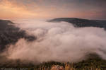 Snake mist by Annabelle-Chabert