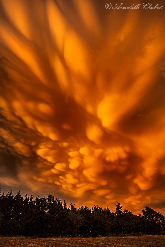 Painted sky