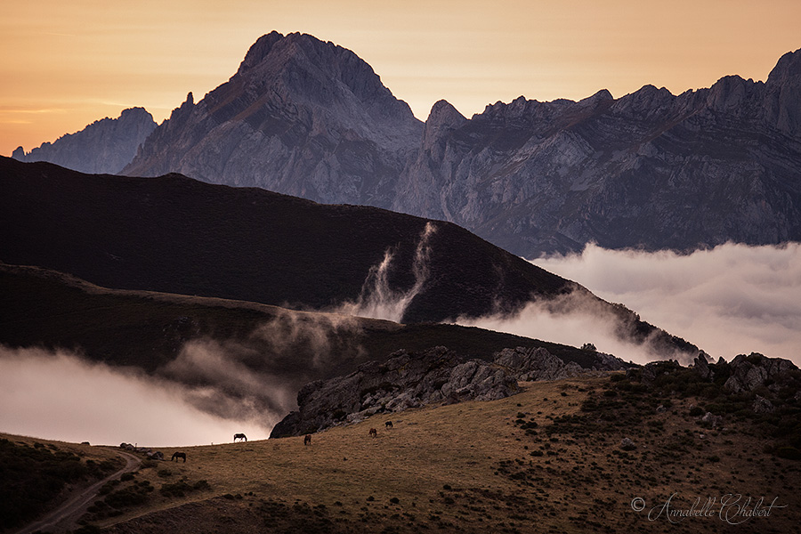 Los Picos de Europa