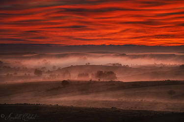 Aubrac