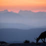 Ventoux