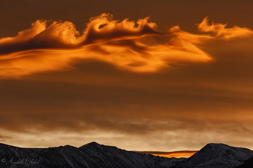 Allegorie flamboyante