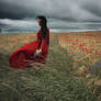 Poppy into the wind