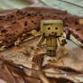 What Have you Done Danbo?