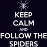 Keep Calm And Follow The Spiders