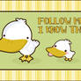 Follow the big Duck