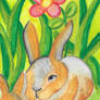 Bunny Watercolor