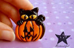 Cats_Pin by missbeautifool