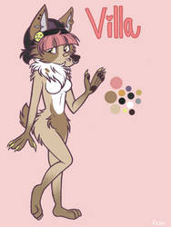 Villa reference sheet ~