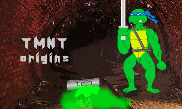 tmnt origins