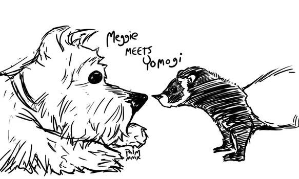 Meggie Meets Yomogi Coldfury