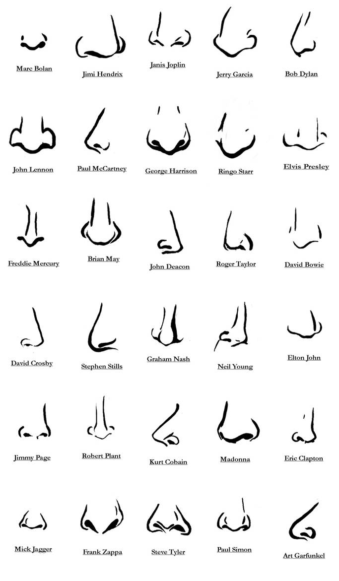Виды носов. Типы Носов и их название. Типы Носов у мужчин названия. Виды форм носа. Формы носа названия.