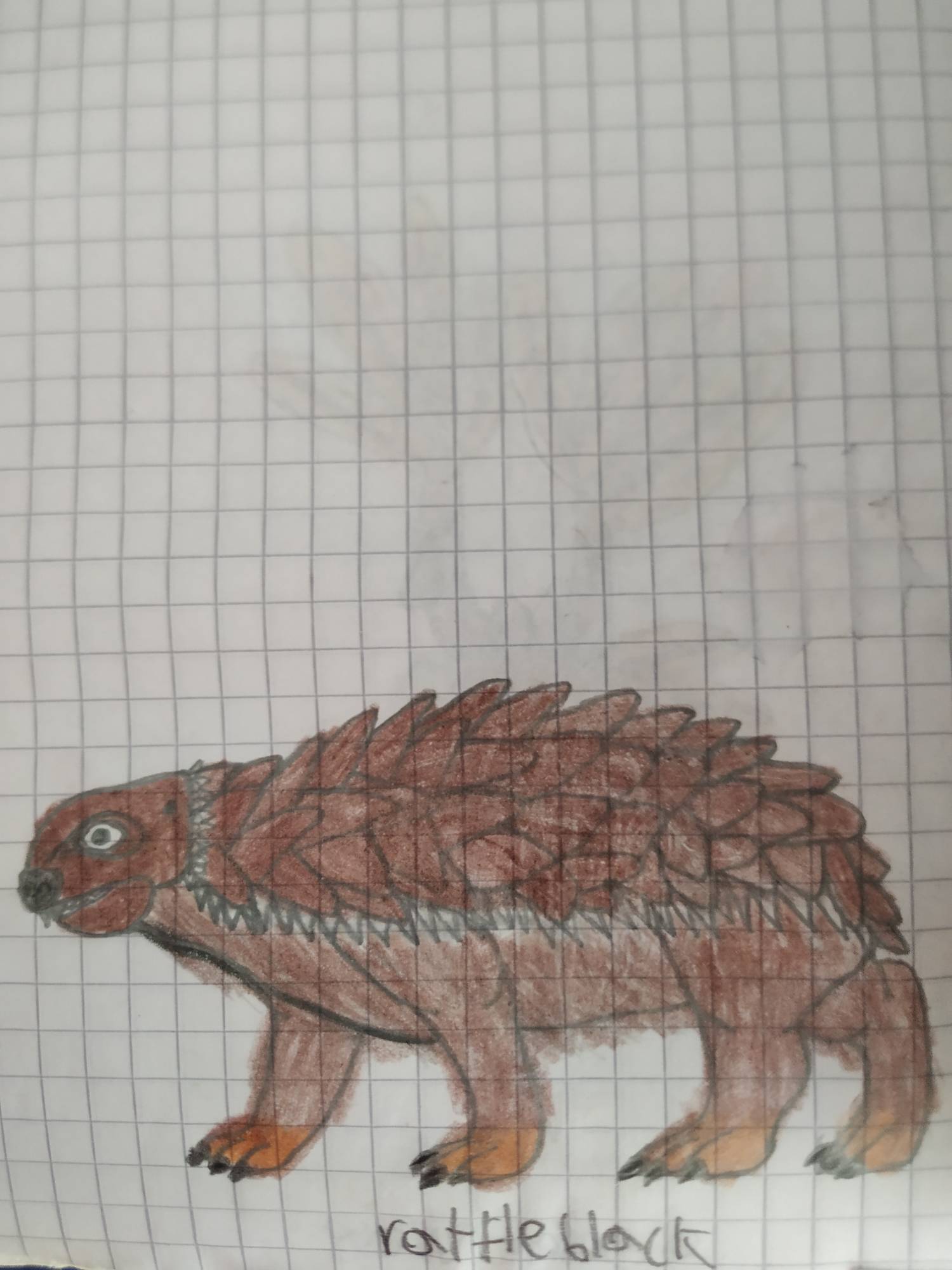 Rattleback sudamericano by 234ester on DeviantArt