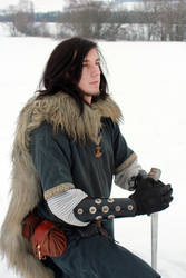 Viking Series 08 by Liancary-art