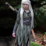 Mirkwood Elf