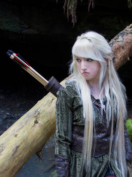 Mirkwood Elf 10