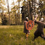 Viking fight - Stock