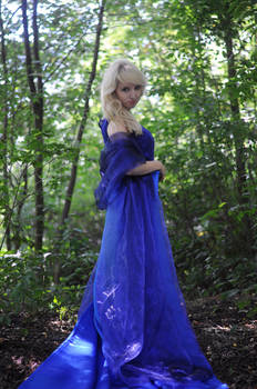 Forest lady - long blue dress - stock