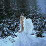 Snow Angel