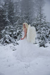 Snow Angel - Stock by Liancary-art