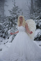 Snow Angel - Stock 2 by Liancary-art