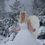 Snow Angel - Stock 2