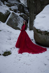 Epic Red Dress - Stock 1 by Liancary-art