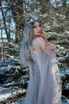 Faerie Queen - Stock 1 by Liancary-art