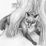 Fox Sketch