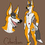 Cebactian Reference Sheet